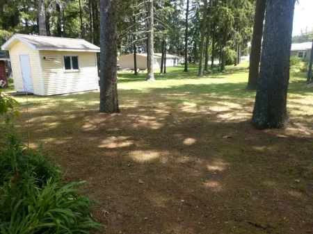 Charming 4-bedroom house with WiFi and AC in peaceful Lake City. Sleeps 12.