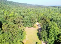 The Grotto - Family-sized retreat on 10 acres of pristine forest. Pet friendly!