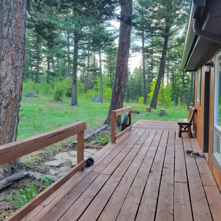 Remote cabin on 40 acres with wildlife and no distractions.