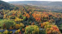 Peace Pond Acres in the heart of the Finger Lakes