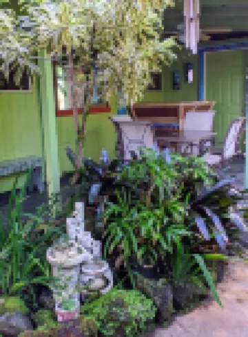 Rain Forest Apartment!