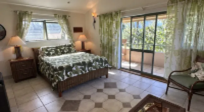 Beautiful, large studio with Mountain views from deck, beach access & A/C