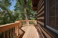 Old World Swiss Cabin Nestled In Woods Ancient Lore & Neyland Stadium Close by