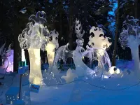 Two bedroom, fully furnished apartment with private entrance on 3 wooded acres