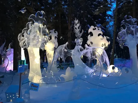 Two bedroom, fully furnished apartment with private entrance on 3 wooded acres