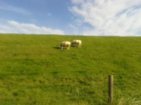 Vacation home directly on the river, close to the beach, WLAN, TV, 6 beds, own jetty