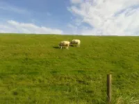 Vacation home directly on the river, close to the beach, WLAN, TV, 6 beds, own jetty Hotels in Dornumersiel