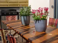 Family villa for 16 with pool and spa 50m from the beach Hotels in Ares