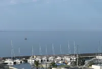 Exceptional Sea View 250m+ Terrace 25m² +  Beds + Pool + Solarium