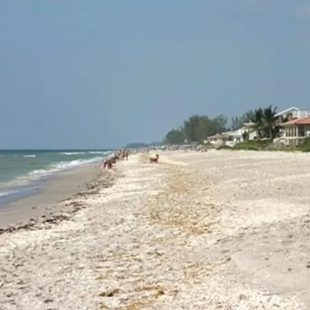 Best Views on Island!   Steps to Beach. Near Boca Grande. Great Beaches, Fishing