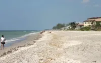 Best Views on Island!   Steps to Beach. Near Boca Grande. Great Beaches, Fishing - ビーチサイド