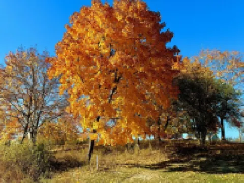 Charming Cottage in Private Lake Community (Pet-Friendly 庫克薩基酒店