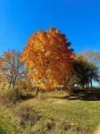 Charming Cottage in Private Lake Community (Pet-Friendly