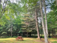 Main House at Lorca ADK, Indian Lake, Adirondacks Hotels in Indian Lake