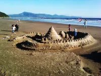 The Blue Rose Cottage - Amazing Views - Direct Beach Access - Pets Allowed Hotels in Netarts