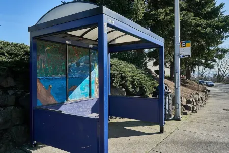 SeaTac Condo Close to Everything!