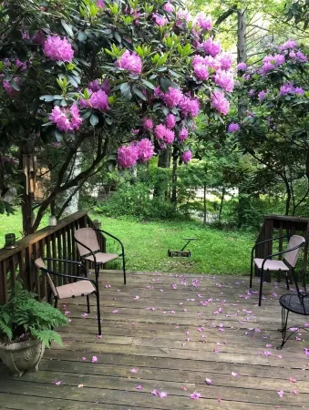 Catskills Chestnut Creek House+Swimming Hole+Firepit+Hike Отели в г. Неверсинк