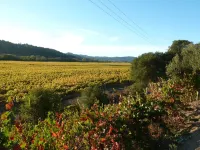 Healdsburg Cottage  Walk to the Plaza, Workspace