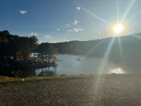 Black Bear Lodge: Cozy Cabin, NEW Noon Check-in