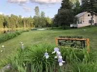 Adirondack Cottage - Four Season, Pet-Friendly, Cozy & Beautiful. Read  reviews!