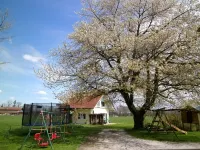 Comfort apartment "Liesl" with pool & fantastic views in the alpine hut atmosphere Hotels in Übersee