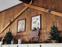 Swiss Hut 1 &2