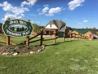 #6 Mustang Cabin at Ponderosa Place