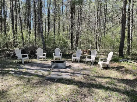 Cozy "Wildwood Lodge" Nestled in a Beautifully Wooded Setting - Pet Friendly