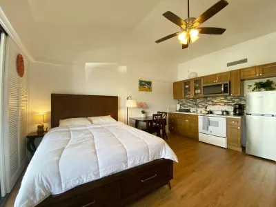 New Condo Apartment with swimming pool Hotels near Once in Hilo
