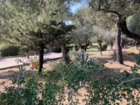 A little corner of Paradise - 4 minutes walk to the beach and restaurants Hotels in Saint-Cyr-sur-Mer