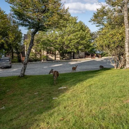 Cozy Beech Mountain getaway for the whole family