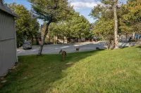 Cozy Beech Mountain getaway for the whole family