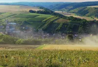 Vacation & enjoyment at the winery