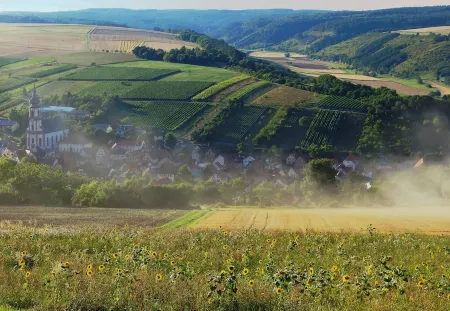 Vacation & enjoyment at the winery