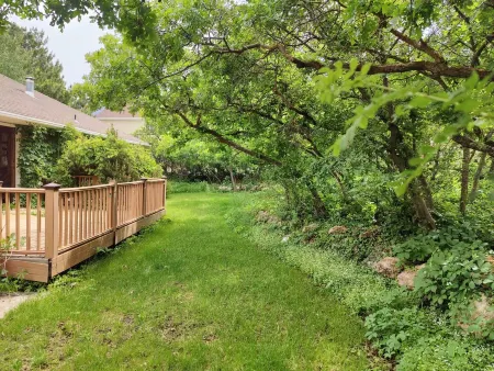 Secluded Canyon retreat with large yard, deer and wildlife near Snowbird & Alta