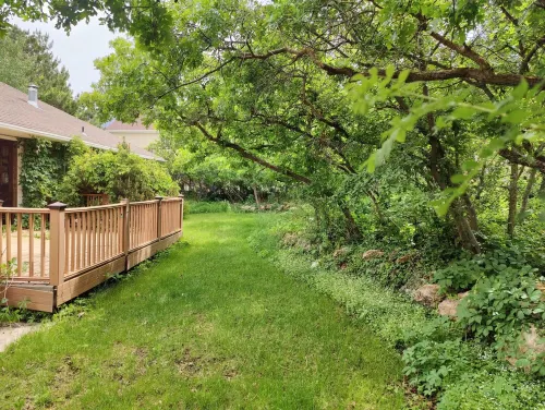 Secluded Canyon retreat with large yard, deer and wildlife near Snowbird & Alta