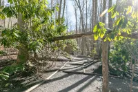 Cozy Mtn Retreat w/ Hiking & Views - Pet Friendly!