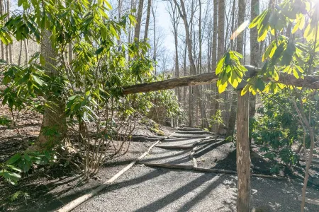 Cozy Mtn Retreat w/ Hiking & Views - Pet Friendly!