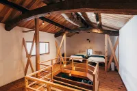 TSUJI OOOKA Hotels in Omi