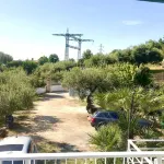 Villa Elisa Apartments