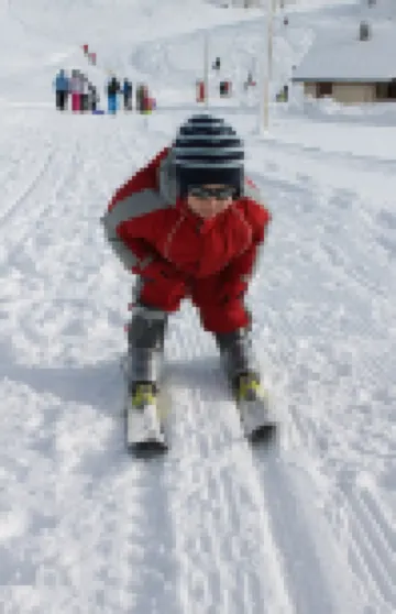 Very nice apartment skis Chamonix Valley