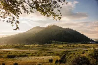 Reconnect Glamping Stulpicani - Homestays