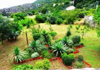 Apartments Lina Hotels in Brsecine