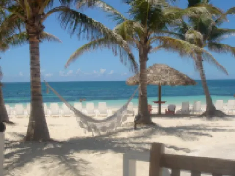 Flamingo Bay Hotel & Marina Hotels in Freeport