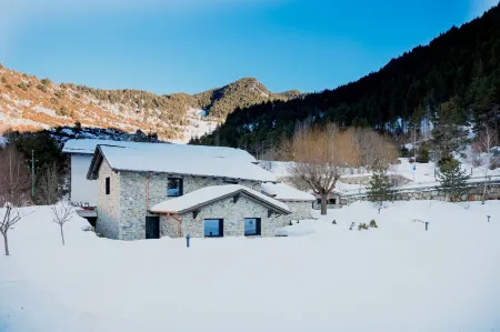 Les Pardines 1819 Mountain Suites & Spa Отели в г. Encamp