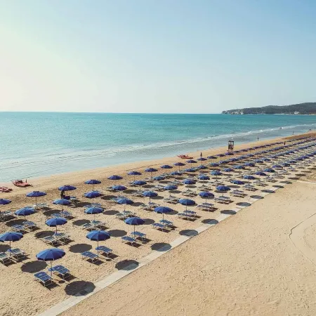 Pizzomunno Vieste Palace Hotel