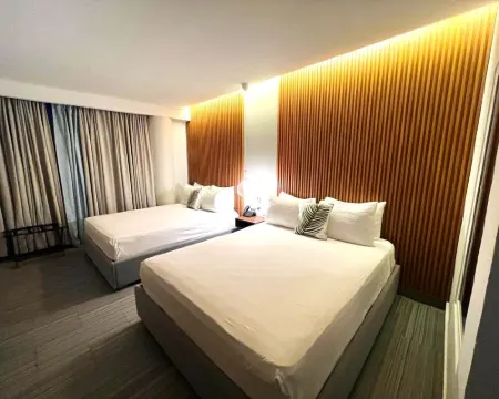 Alkquimia Hotel Hotels in Dominicus