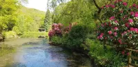 Davy Cottage in the Countryside with Horse Riding Hotel di Deviock