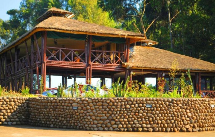 Da Vinci Gorilla Lodge