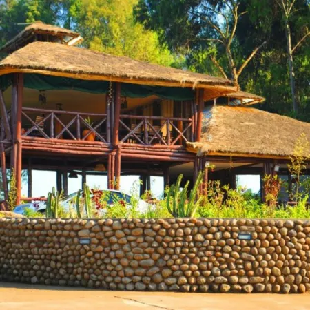 Da Vinci Gorilla Lodge